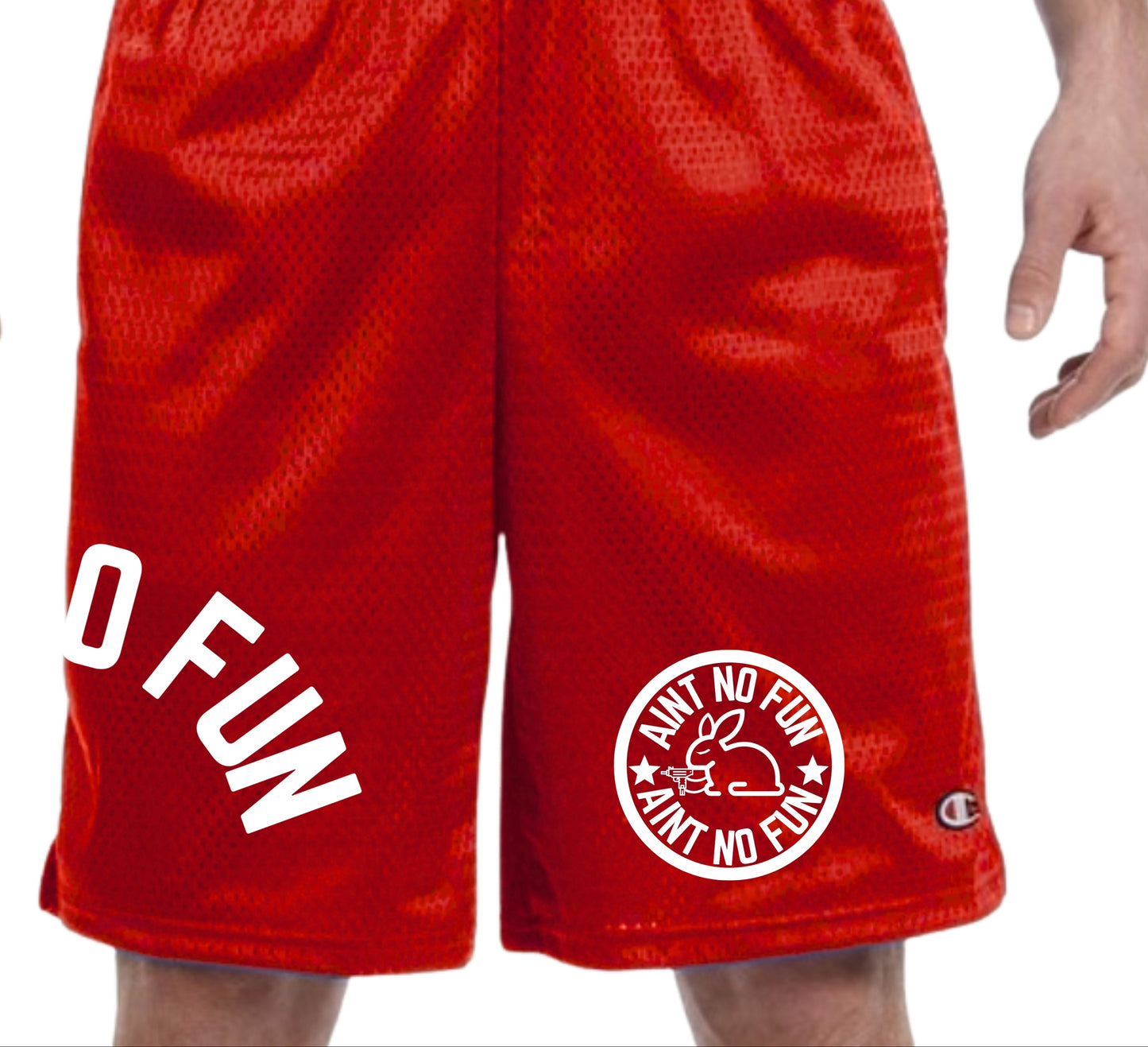 Aint No Fun Champion Mesh Shorts